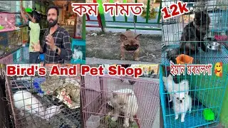 Exotic Bird And Pet Market in Barpeta || Bird's | Dog | Cat | Rebbit -অতি কম দমত আৰু Discount ও পাৱ 