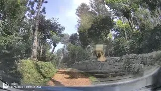 Yercaud Cauvery Peak Estate Off-road Drive in Tata Nexon | Tata Nexon | #LevelNexSUV
