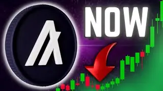 Algorand Is SUPER Cheap- THIS IS WHY I'M BUYING NOW!