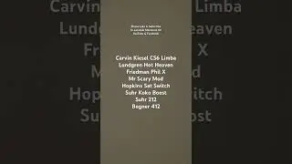 Carvin Kiesel CS6 Limba / Lundgren Hot Heaven / Friedman Phil X / Mr Scary Mod / Sat Switch / Koko