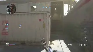 Cod days of summer