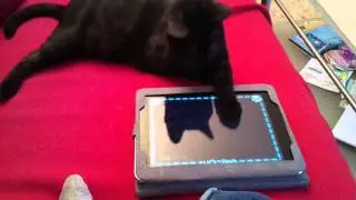application ipad pour les chats.