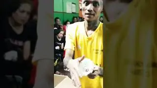 KOK SLOW MOTION#badmintontarkam #agrippina #badmintonindonesia #haphaptv #bangjek