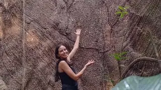 Trilha na floresta! 