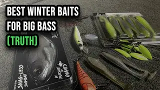 Best Winter Baits for Big Bass In Depth! (Truth No Gimmicks)