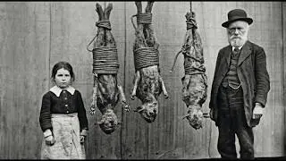 110 SHOCKING Old Photos That You Must See