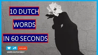 THE HAND | LEARN DUTCH DAILY | 10 BASIC DUTCH WORDS IN 60 SECONDS | LEARN HOW TO SPEAK DUTCH