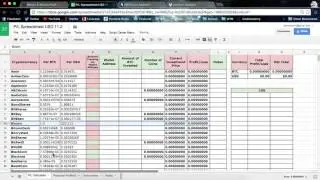 Crypto P/L Spreadsheet Instructions
