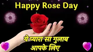 Happy Rose Day Status