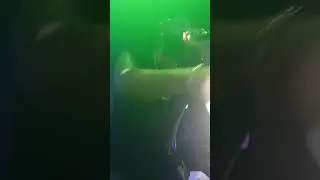 @LyrikalMusic performs 'Dip and Roll/Criminal Wine' LIVE, Brazen, Caribana 2018, CC Lounge, Toronto