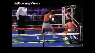 BOXING VINE #3