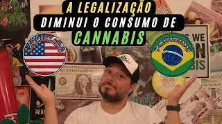 Legalizar aumenta o consumo? Os dados v&atilde;o te surpreender!