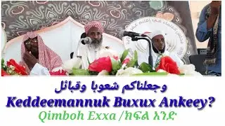① معنا 