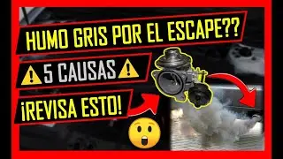 5 Causas Del HUMO GRIS Por El ESCAPE 👉 MIRA LO QUE PASA En Tu Carro⚠️