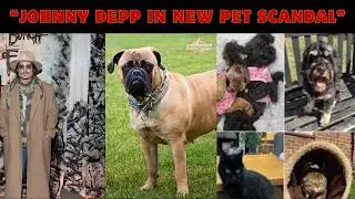 Johnny Depp&rsquo;s Dog Accused of KILLING Sheep in East Sussex?!