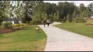 Welcome to Pitt Meadows