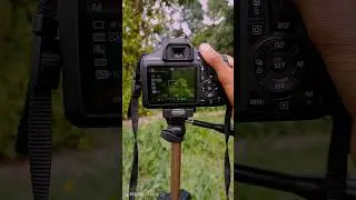 Canon EOS 1500D😱🤯 DSLR camera photo shoot  #tranding  #camera #trandingshorts #youtubeshorts #shorts