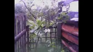 MOV 0000113
