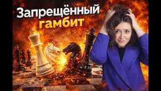 Запрещённый гамбит: разгром чёрных за 20 ходов