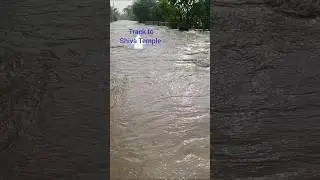 #yamuna #flood #delhi #river #nature #english #englishlistening #riversounds#yamuna  #biodiversity
