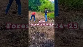 Farm Forestry, Horticulture Model, OFSDP-II