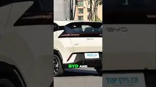 Tesla's 2025: Killer Competition From China?