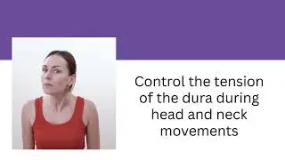 Chiari Academy: A New Chiari Theory