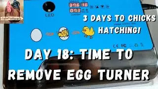 Taking Egg Turner Out Of Incubator & Getting Ready For Chicks To Hatch! | Day 18