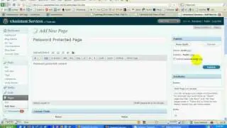 How to Password Protect a WordPress Page