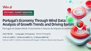 Portugal's Economy Through Wind Data: Analysis of Growth Trends and Driving Forces [ Portuguese ]
