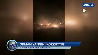 Orman Yangını Korkuttu! - Dim TV Haberler