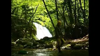 最高の景色とキャンプ飯 [ソロキャンプ] The hidden woodsmen Haversackで行く、野営地でカレー麺 hiking