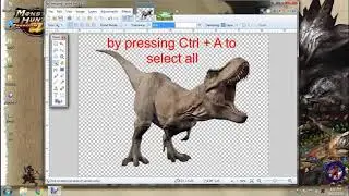 how to make image background transparent using paint.net