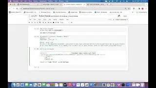 Python Tutorial - Introduction on Variables and Input/Output