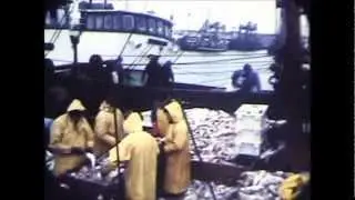 Rondje Wieringen 8