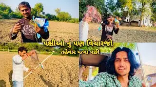 ઉતરાયણ ન પત્યા પછી પક્ષી ઓ નું વિચારજો | 🙏🏻