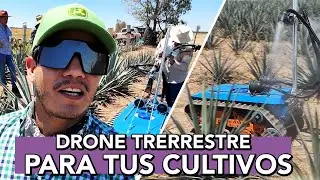 Drone Terrestre en CULTIVOS de Agave
