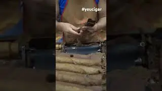 C&ocirc;ng việc y&ecirc;u th&iacute;ch mỗi ng&agrave;y của người thợ cuốn những điếu cigar | Y&ecirc;u Cigar