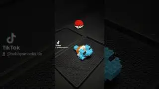 Finally I've built the last starter 🤓 #nanoblock #pokemon