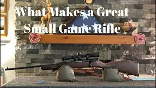The Best Small Game Hunting Rifle | What Makes a Good Varmint Rifle