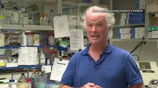 Gene Therapy For Spinal Muscular Atrophy