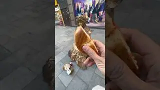 Sandwich Italian for Gold Lady #youtubeshorts #performer #goldlady #cosplay #disney #modernprincess