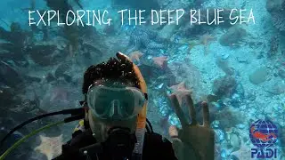 How I got SCUBA diving certified | PADI, Monterey