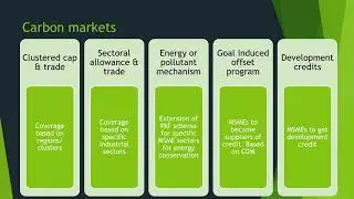 MSMEs, Emissions and Carbon Markets by Dr  Saon Ray, Senior Fellow, ICRIER