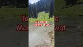 𝐓𝐚𝐢𝐩 𝐛𝐚𝐧𝐝𝐚 𝐌𝐚𝐧𝐤𝐲𝐚𝐥 𝐊𝐚𝐥𝐚𝐦 𝐒𝐰𝐚𝐭 #taipbanda