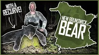 Охота на весеннего медведя с луком! | Традиционная охота с луком