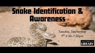 Snake Identification & Awareness: Myths, Safety, and Coexisting with Our Slithery Neighbors