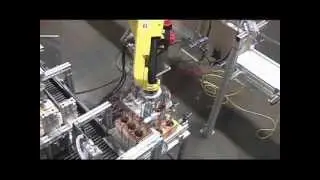 Custom Robotic Case Packing System