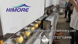6-Station Automatic Apple Peeler Corer Slicer Cutter 
