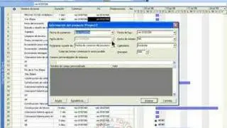 Ms Proyect - Ingreso de datos